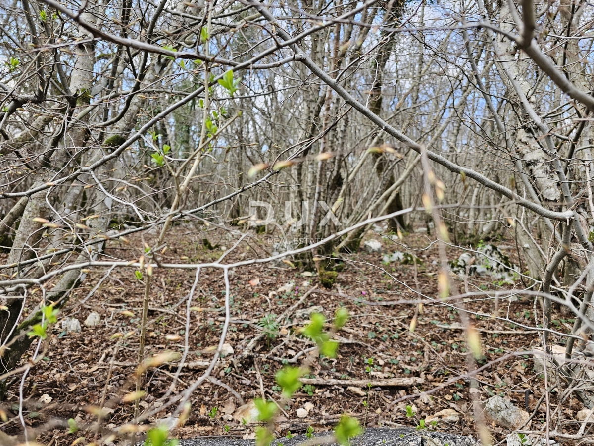 OTOK KRK, GOSTINJAC - Gozd 6201 m2, dostop z asfaltne ceste