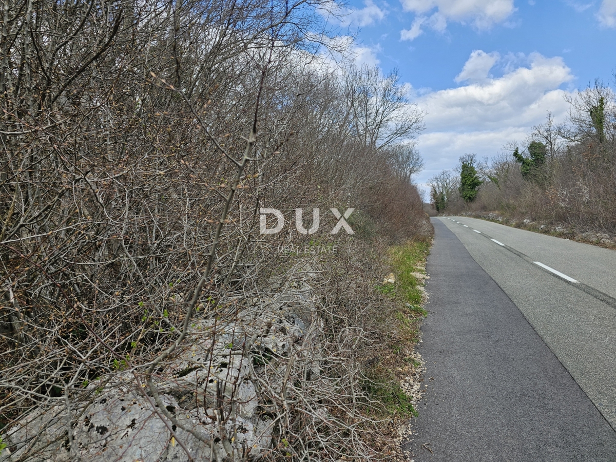 OTOK KRK, GOSTINJAC - Gozd 6201 m2, dostop z asfaltne ceste