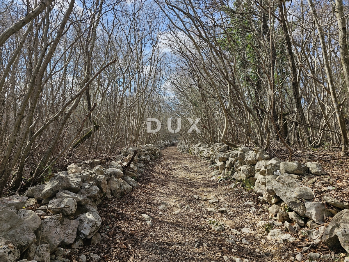 OTOK KRK, GOSTINJAC - Gozd 6201 m2, dostop z asfaltne ceste