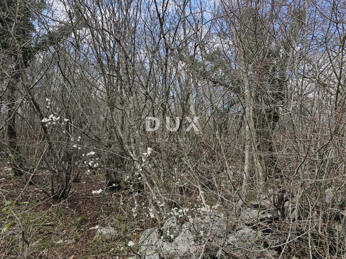 OTOK KRK, GOSTINJAC - Gozd 6201 m2, dostop z asfaltne ceste