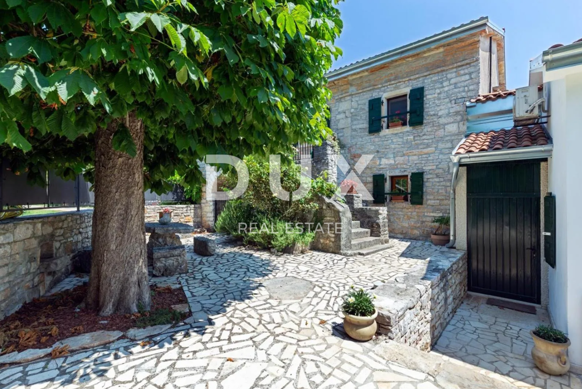 ISTRA, ŽMINJ (OKOLICA) - Impresivna istrska kamnita hiša z bazenom