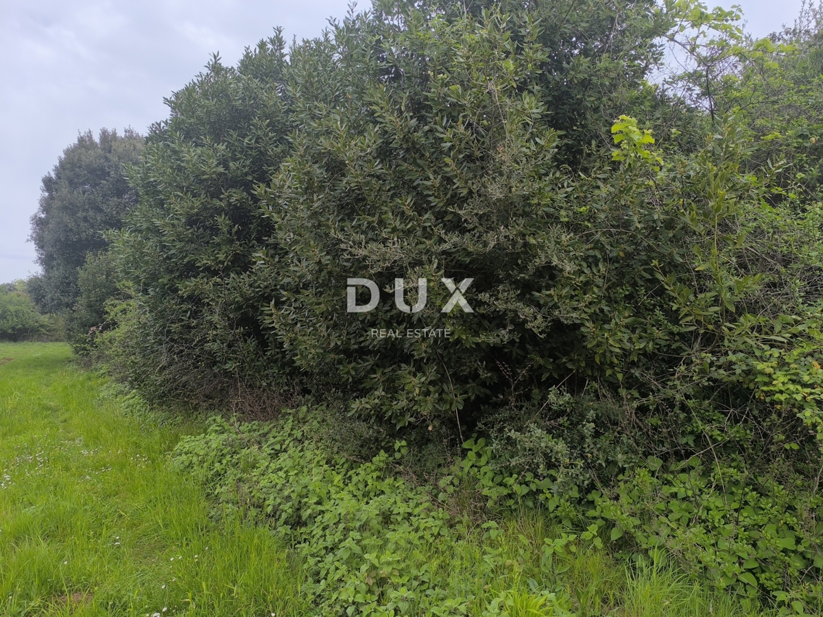 Zemljišče Premantura, Medulin, 1.010m2