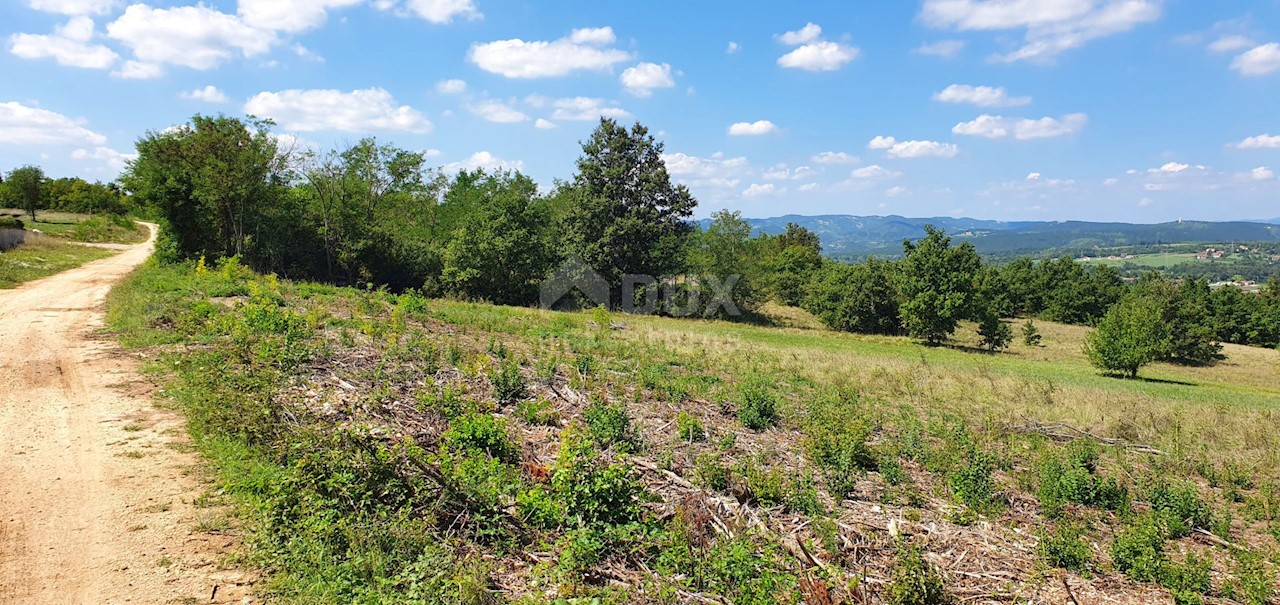 Zemljišče Kršan, 22.261m2