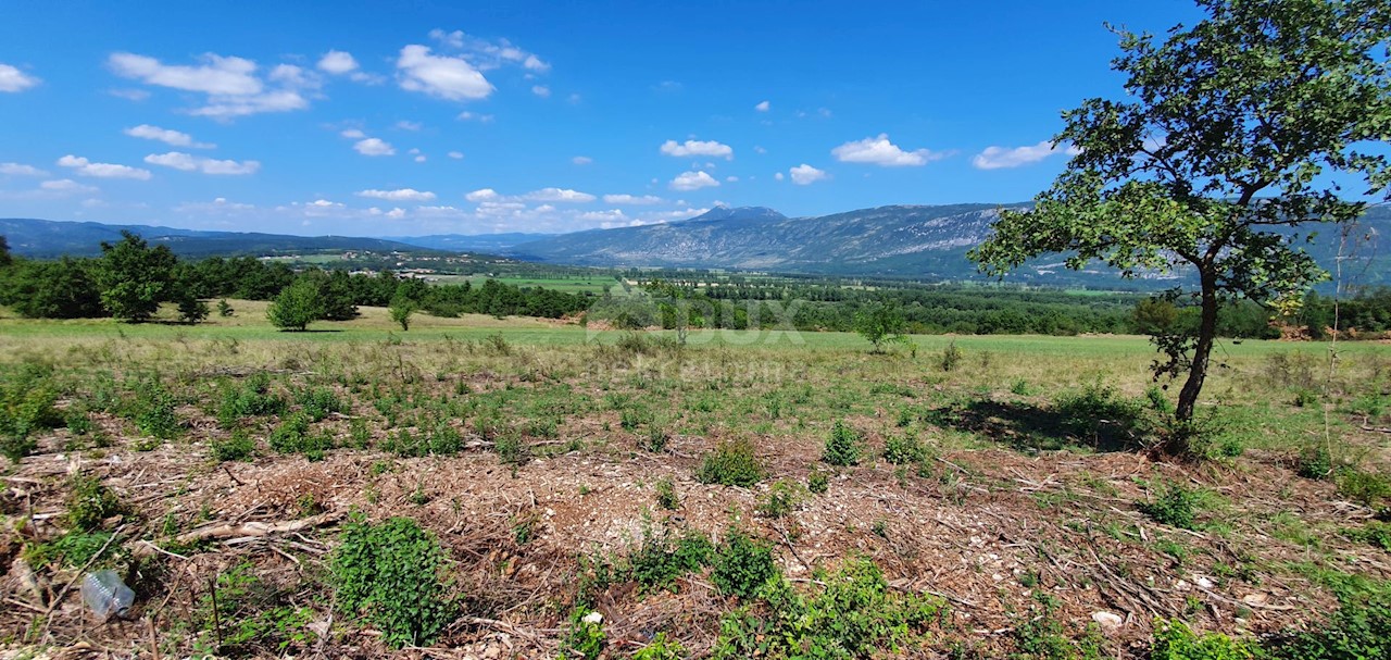 Zemljišče Kršan, 22.261m2