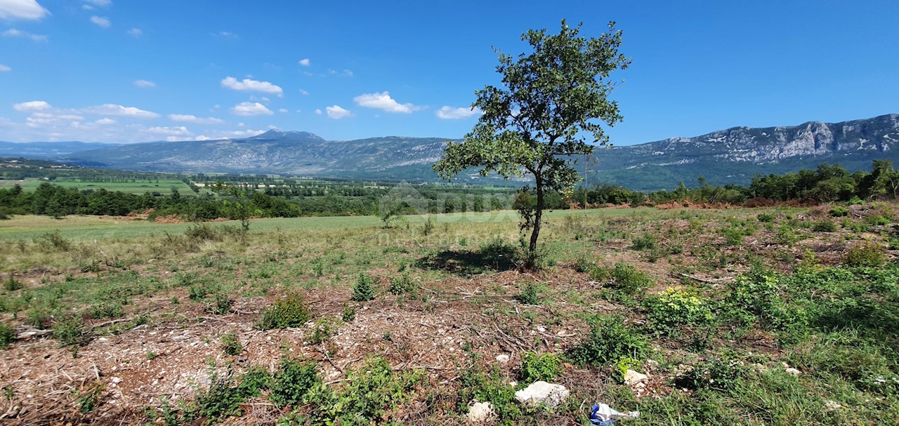 Zemljišče Kršan, 22.261m2