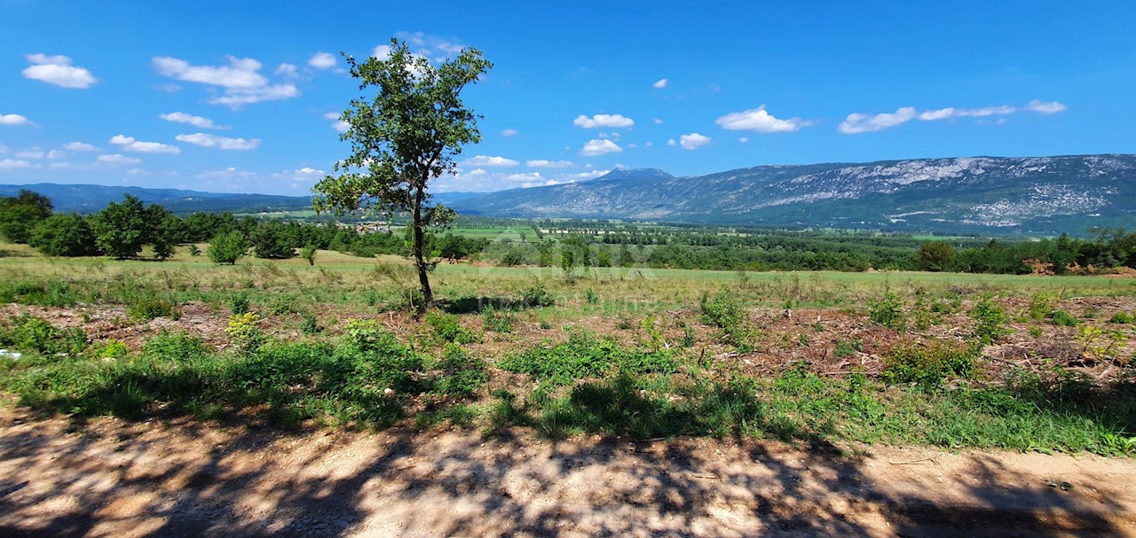 Zemljišče Kršan, 22.261m2
