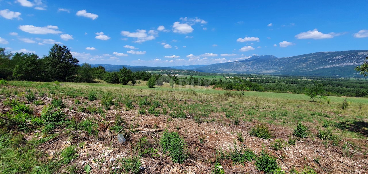 Zemljišče Kršan, 22.261m2