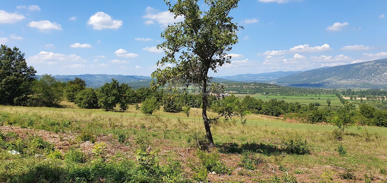 Zemljišče Kršan, 22.261m2