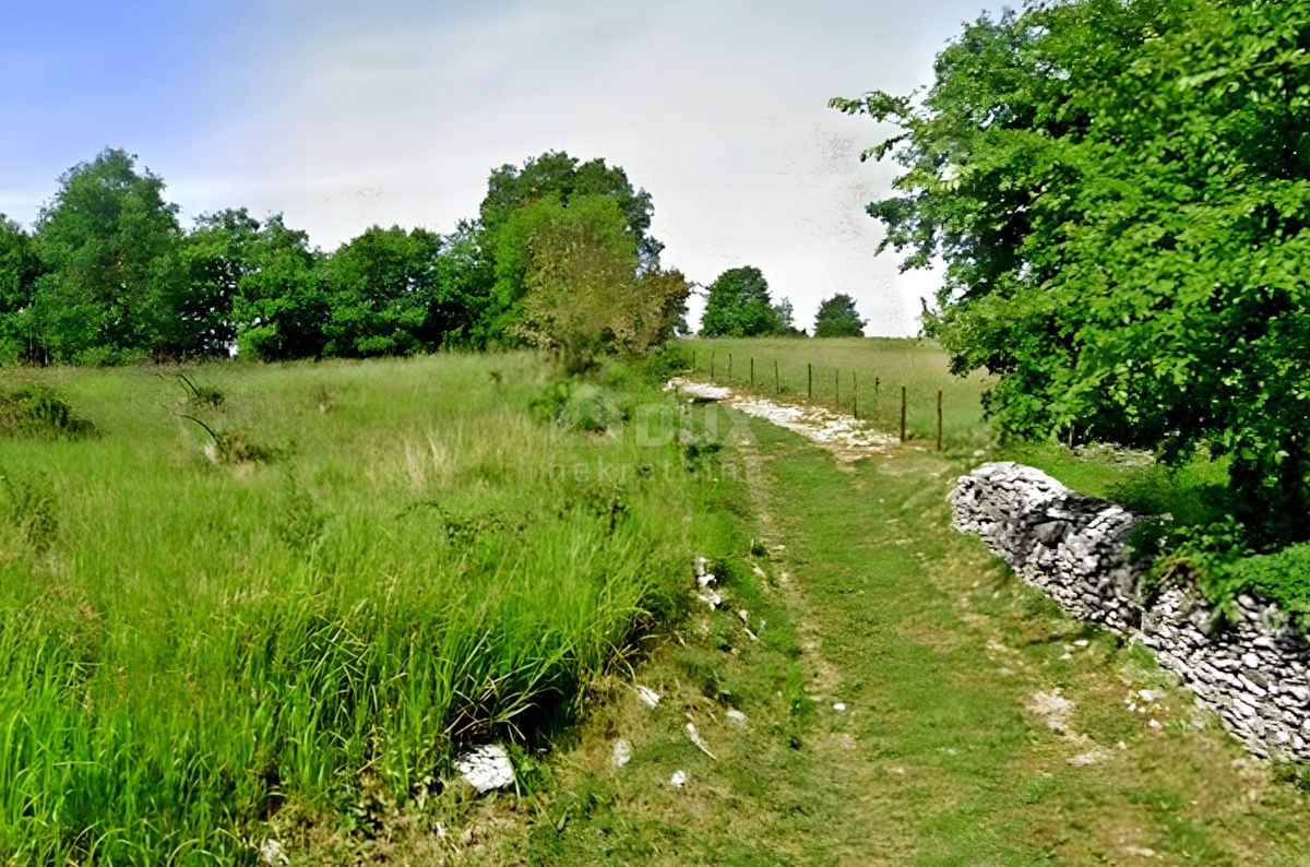Zemljišče Grožnjan, 6.000m2