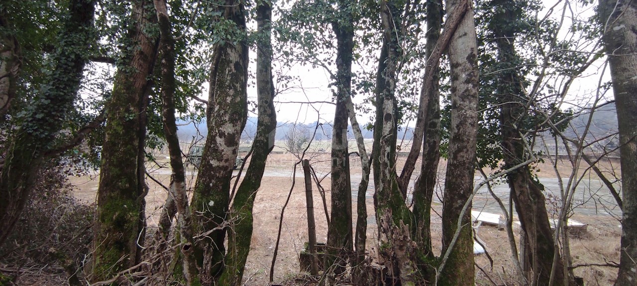 Klana, 8.000m2
