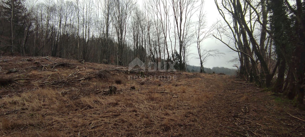 Klana, 8.000m2