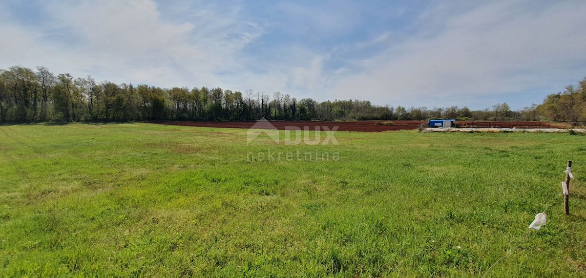 Umag, 5.180m2