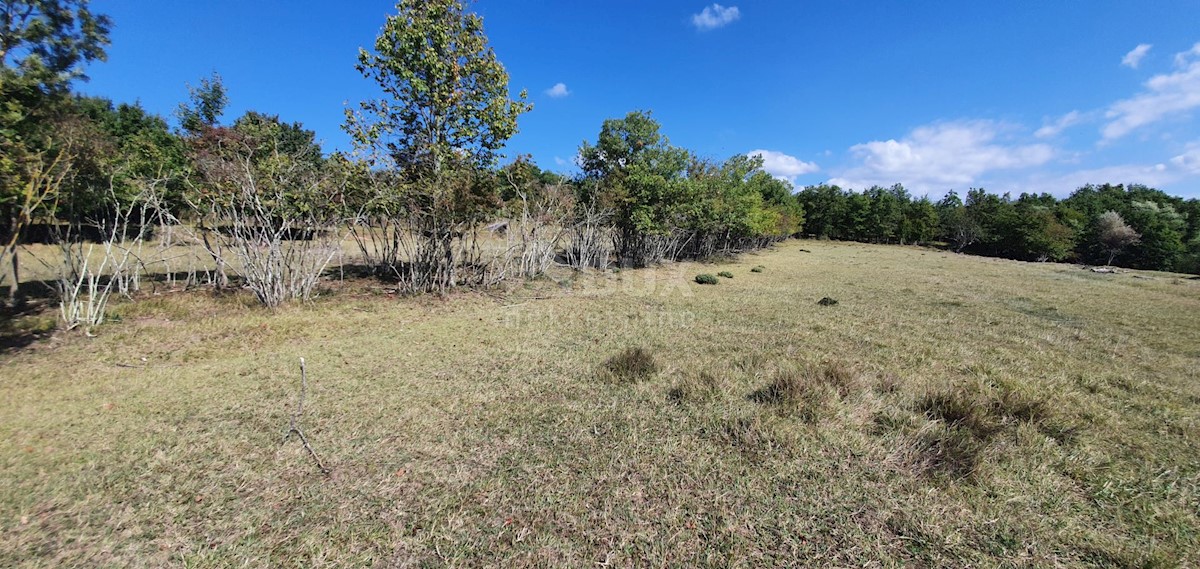 Zemljišče Grožnjan, 2.340m2