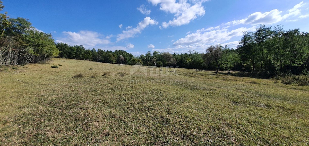 Zemljišče Grožnjan, 2.340m2