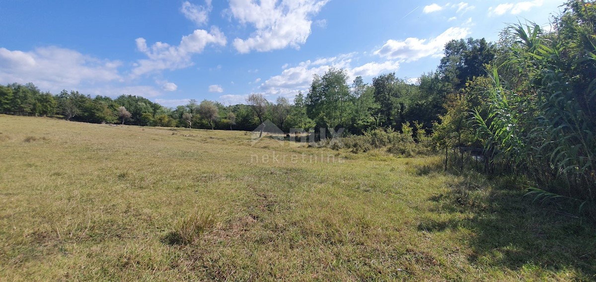Zemljišče Grožnjan, 2.340m2