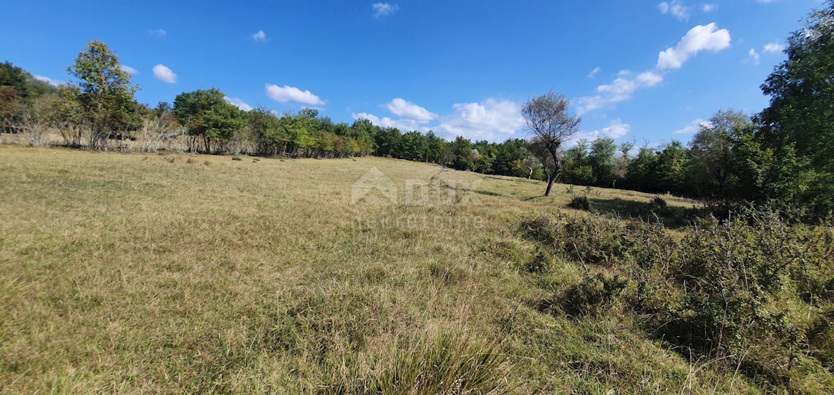 Zemljišče Grožnjan, 2.340m2