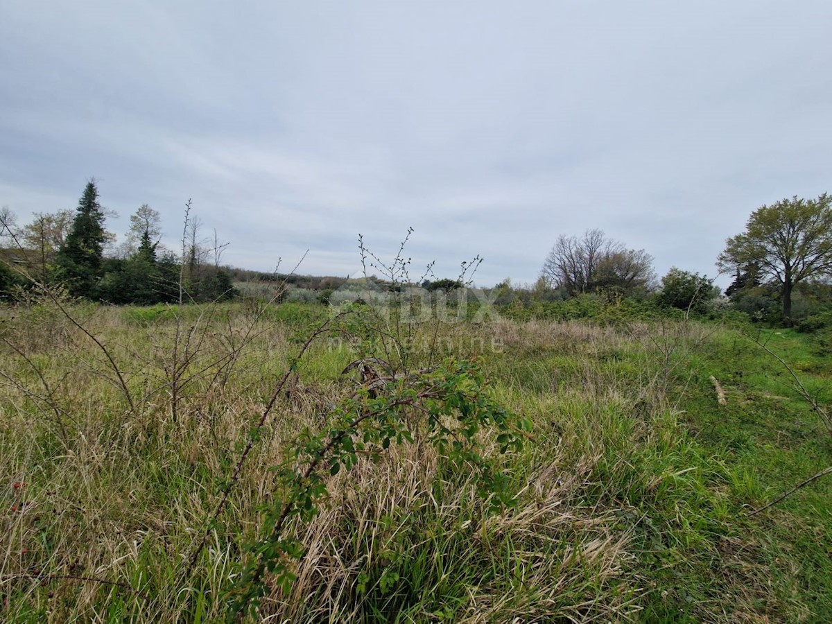 ISTRA, BRTONIGLA - Gradbeno zemljišče s pogledom na morje