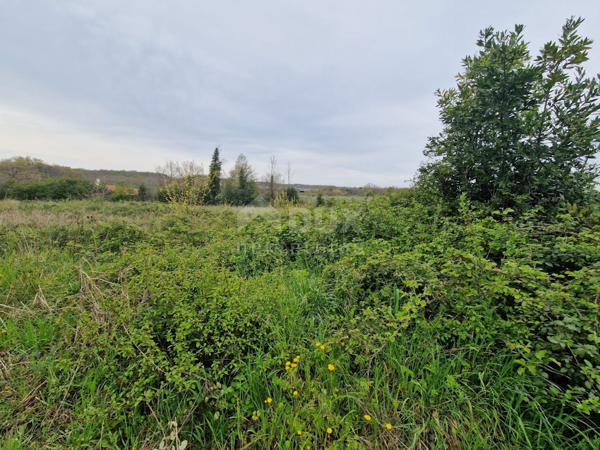 ISTRA, BRTONIGLA - Gradbeno zemljišče s pogledom na morje