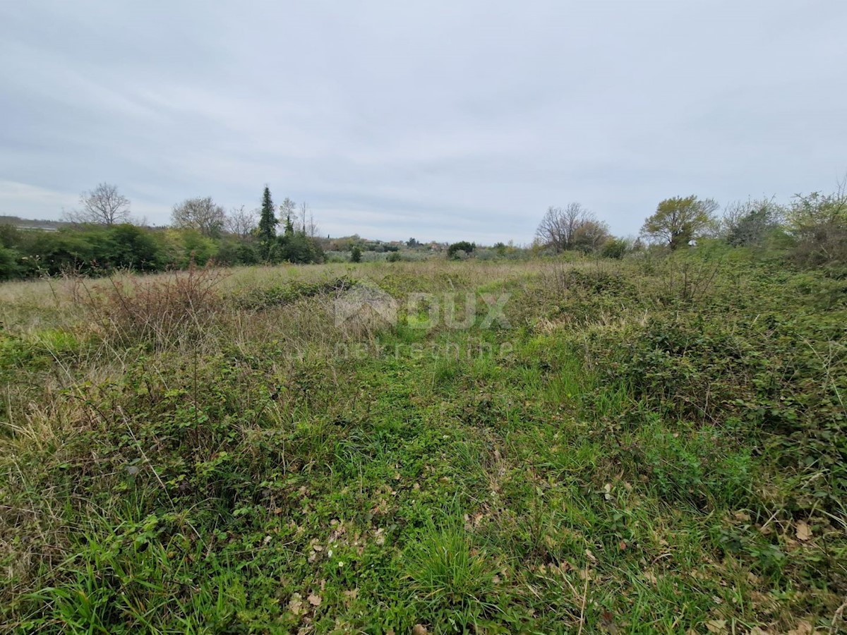 ISTRA, BRTONIGLA - Gradbeno zemljišče s pogledom na morje