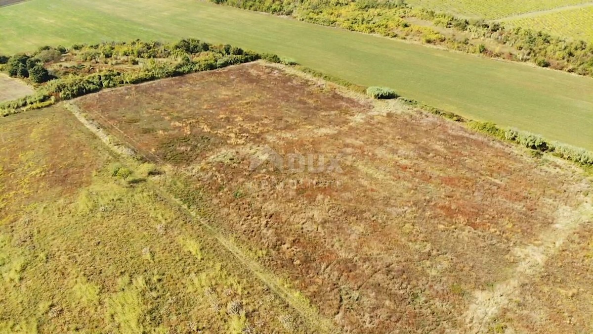 ISTRA, BUJE - Kmetijsko zemljišče 14.255 m2 s pogledom na morje!