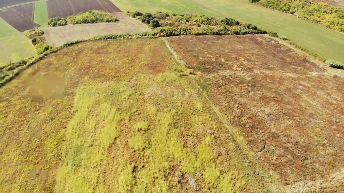 ISTRA, BUJE - Kmetijsko zemljišče 14.255 m2 s pogledom na morje!