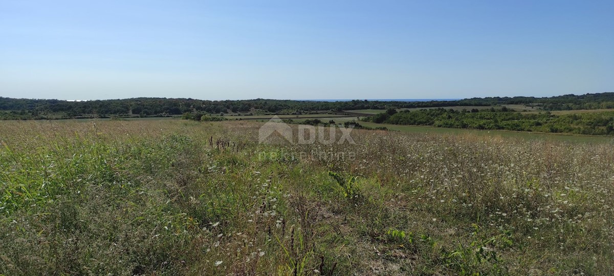 ISTRA, BUJE - Kmetijsko zemljišče 14.255 m2 s pogledom na morje!