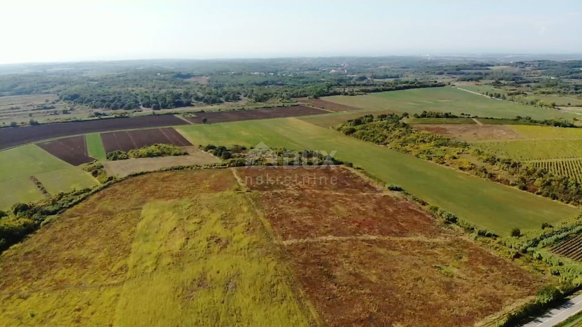 ISTRA, BUJE - Kmetijsko zemljišče 14.255 m2 s pogledom na morje!