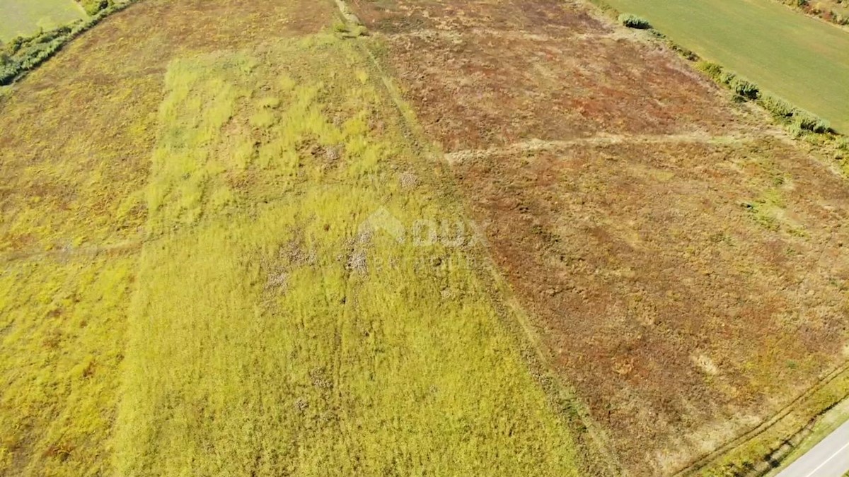 ISTRA, BUJE - Kmetijsko zemljišče 14.255 m2 s pogledom na morje!