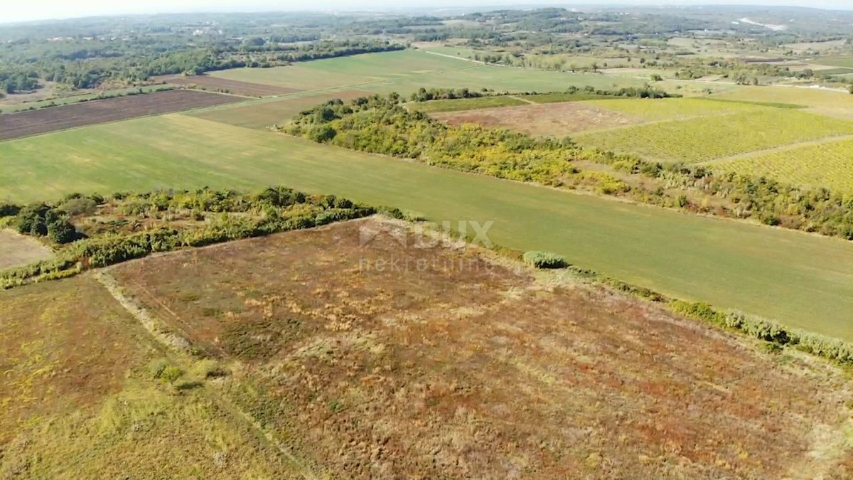 ISTRA, BUJE - Kmetijsko zemljišče 14.255 m2 s pogledom na morje!