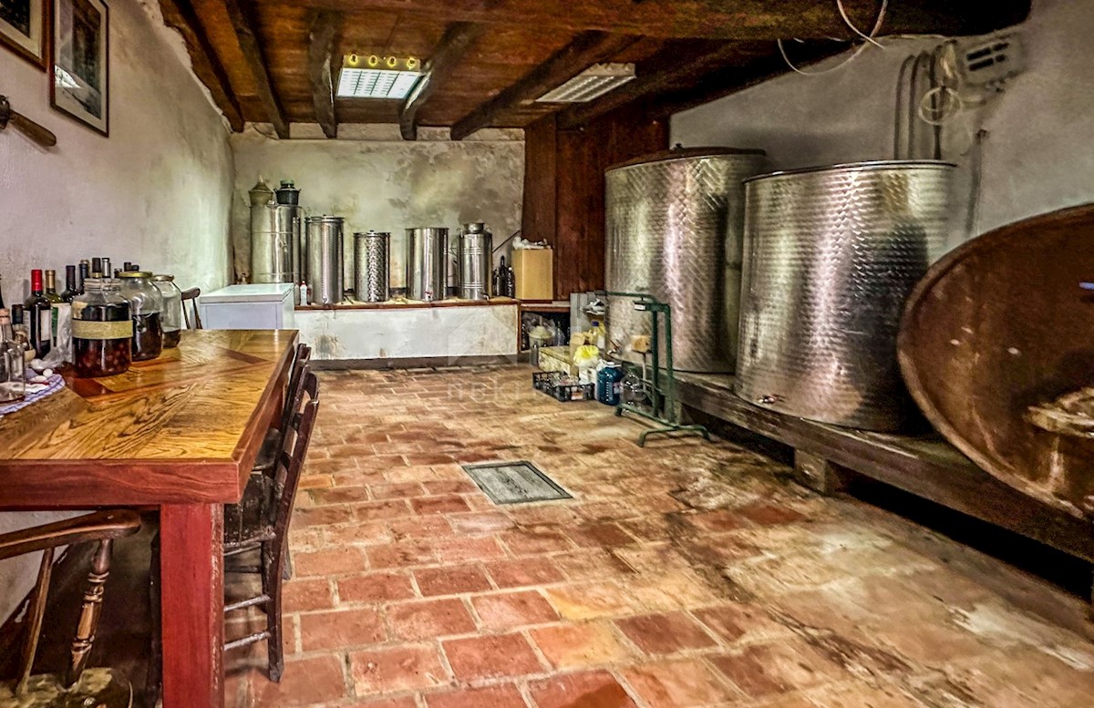 Duričići, Buzet, 400m2