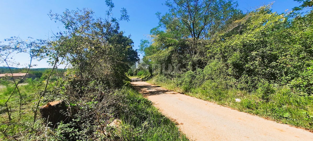 Završje, Grožnjan, 1.186m2