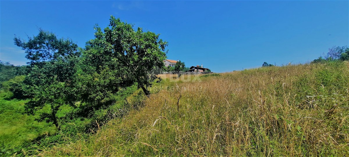 Buzet, 3.237m2