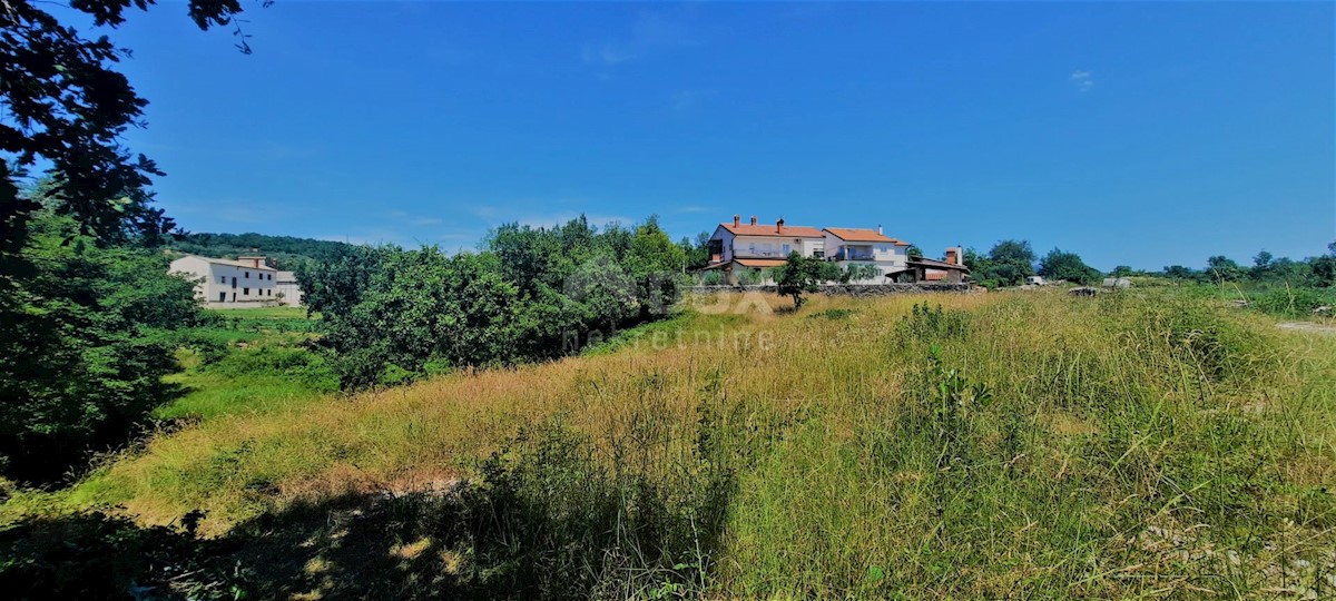 Buzet, 3.237m2