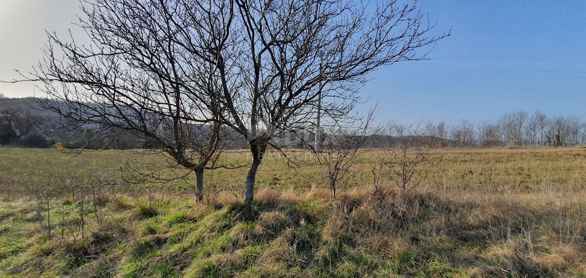 Kašćerga, Pazin - Okolica, 7.650m2