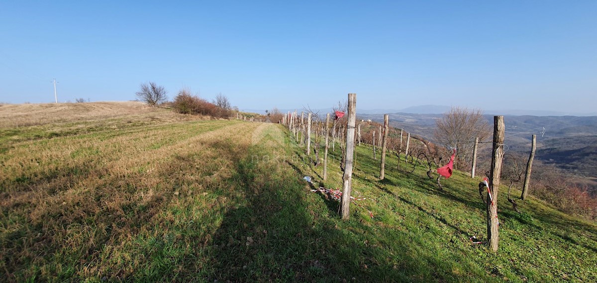 Kašćerga, Pazin - Okolica, 7.650m2