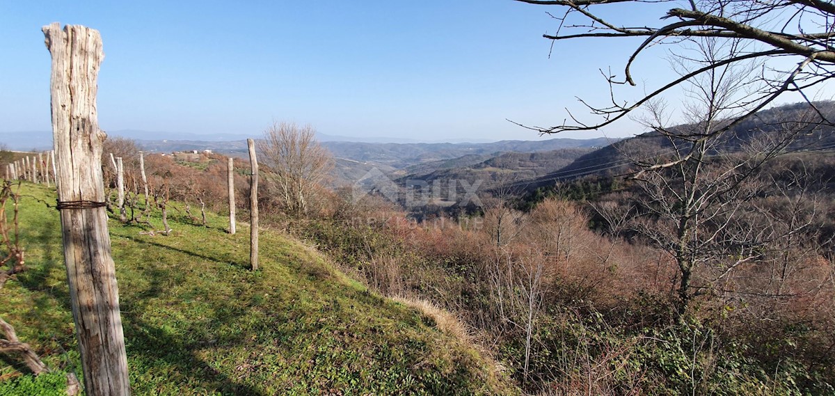 Kašćerga, Pazin - Okolica, 7.650m2