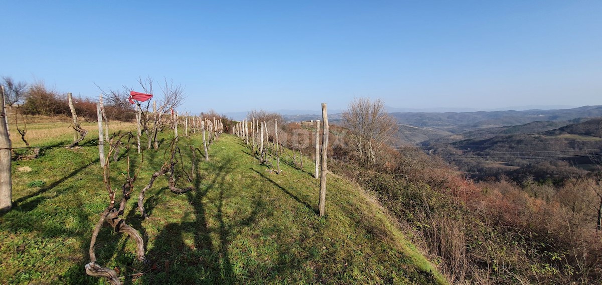 Kašćerga, Pazin - Okolica, 7.650m2