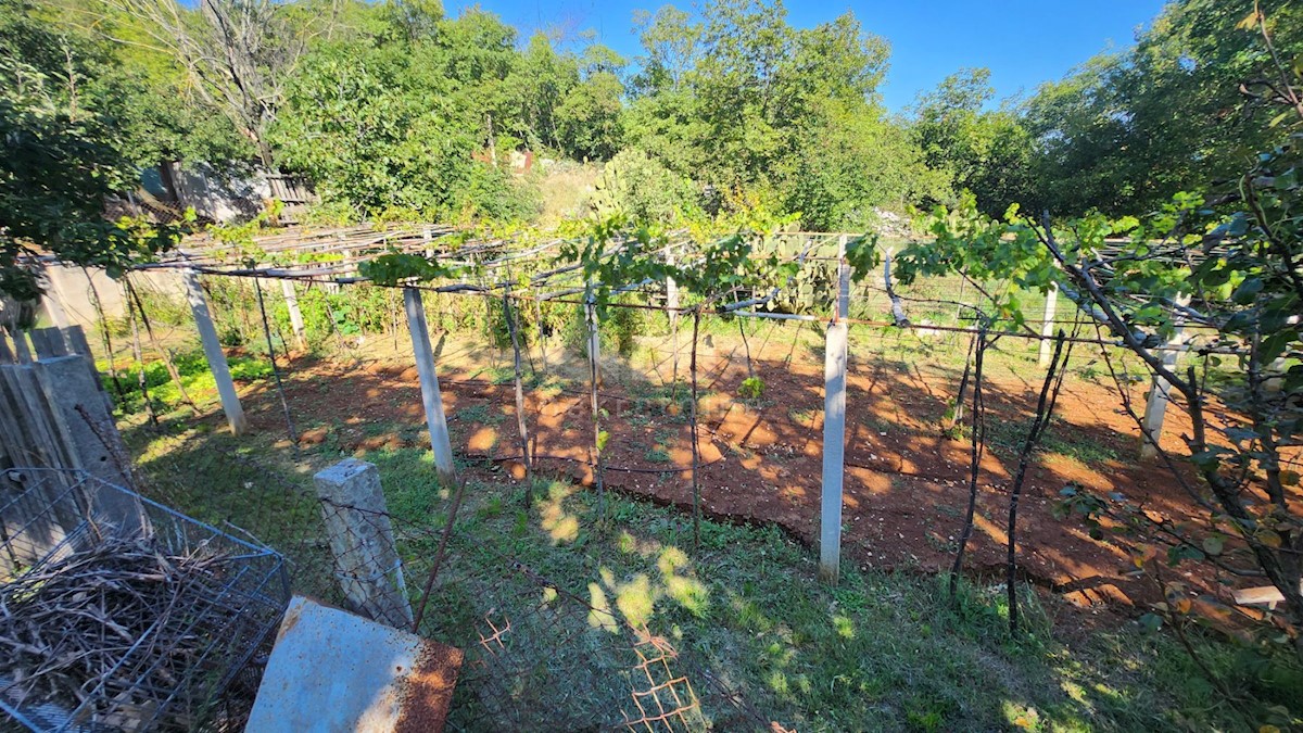 ISTRA, LABIN - Hiša na samem s pomožnimi objekti in pogledom na morje