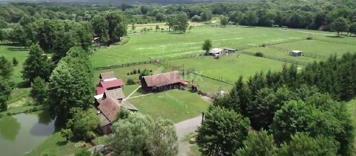 Našice, 10.000m2