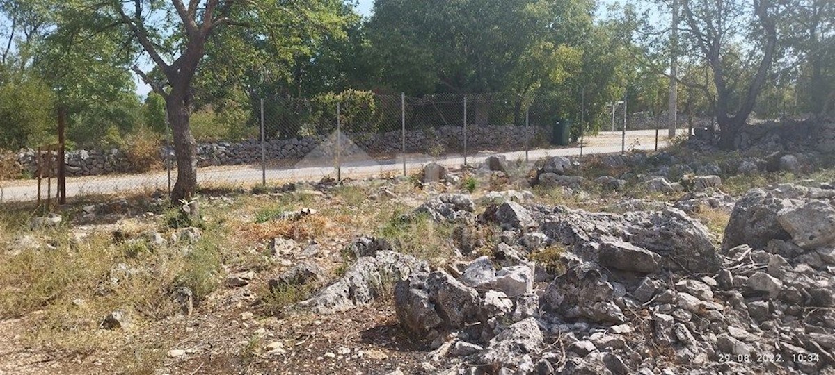 Pridraga, Novigrad, 1.100m2