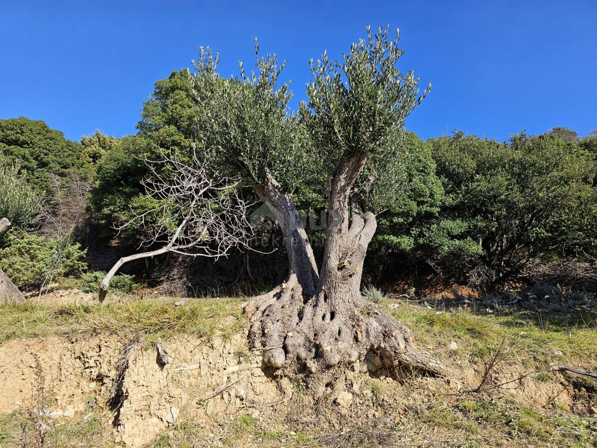 Mundanije, Rab, 1.482m2