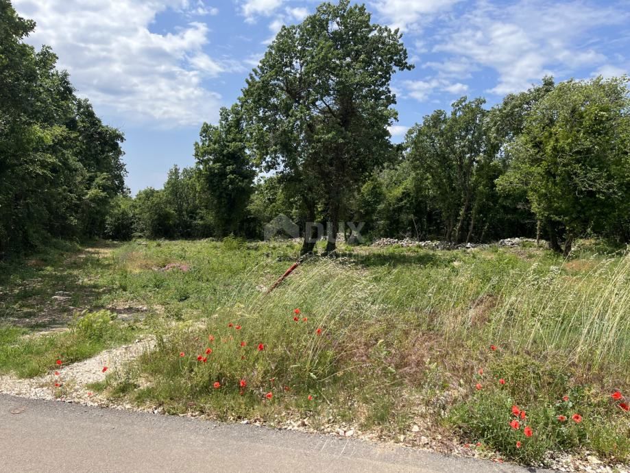 ISTRA, SV. LOVREČ - Zazidljivo zemljišče za gradnjo idealnega doma