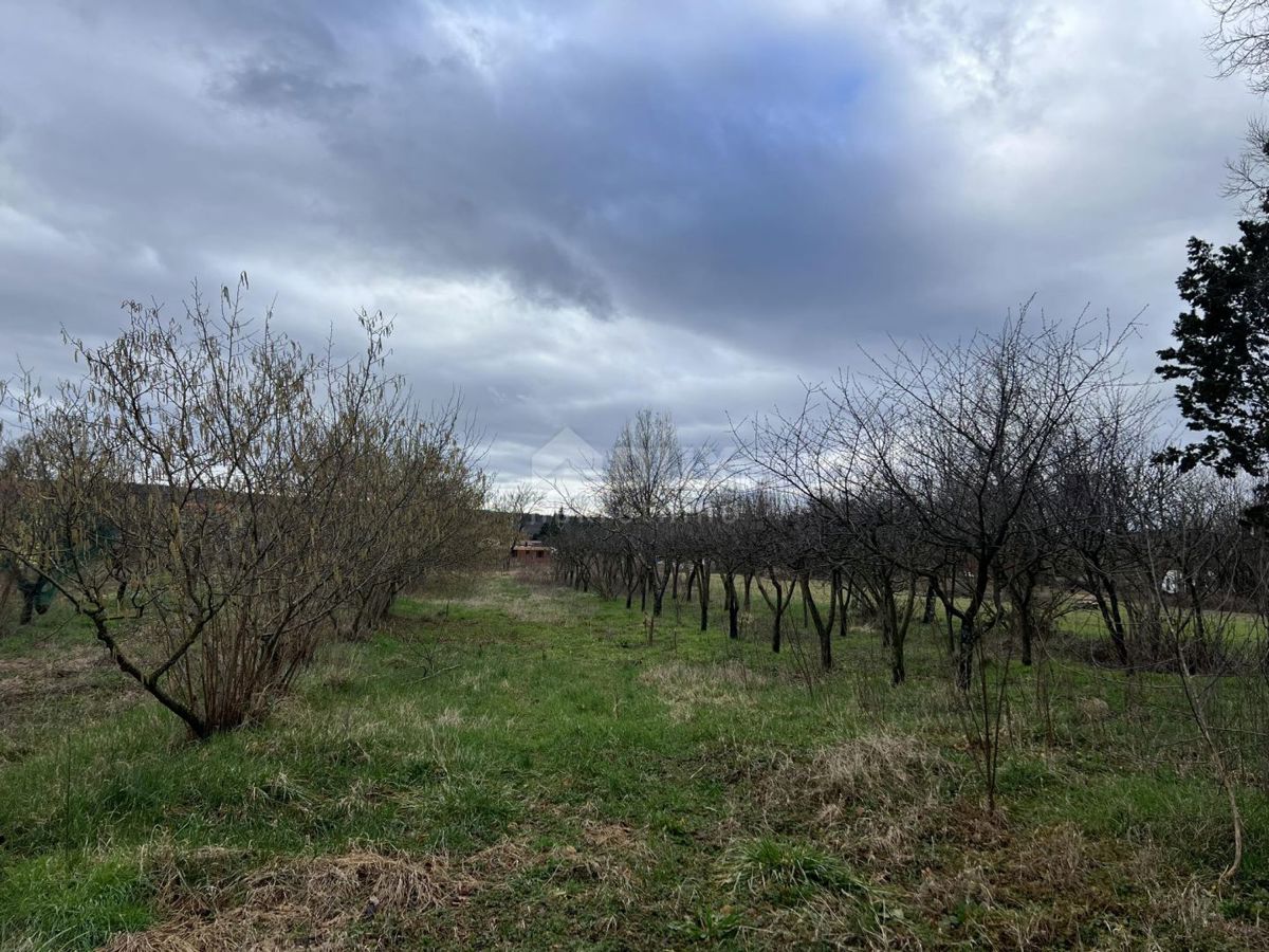 ISTRA, KRŠAN - Prostorno gradbeno zemljišče