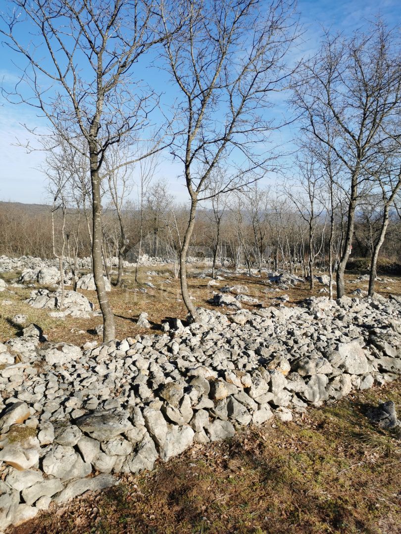 OTOK KRK, KRK (Okolje) - Kmetijsko zemljišče