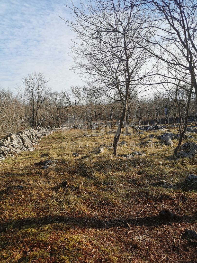 OTOK KRK, KRK (Okolje) - Kmetijsko zemljišče