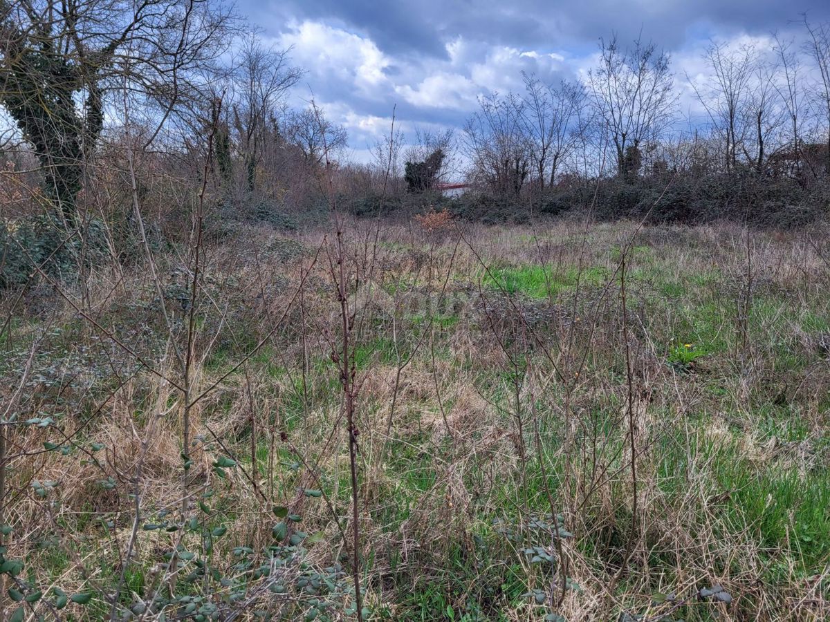 ISTRA, TINJAN - Zazidljivo zemljišče mešane rabe