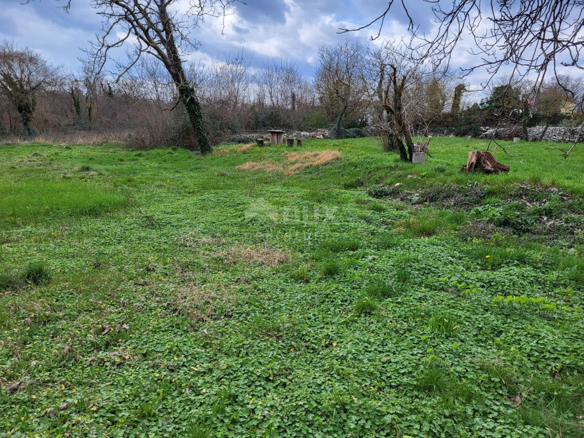 ISTRA, TINJAN - Zazidljivo zemljišče mešane rabe