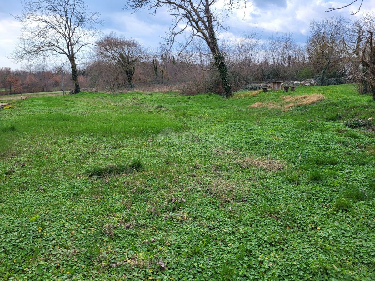 ISTRA, TINJAN - Zazidljivo zemljišče mešane rabe