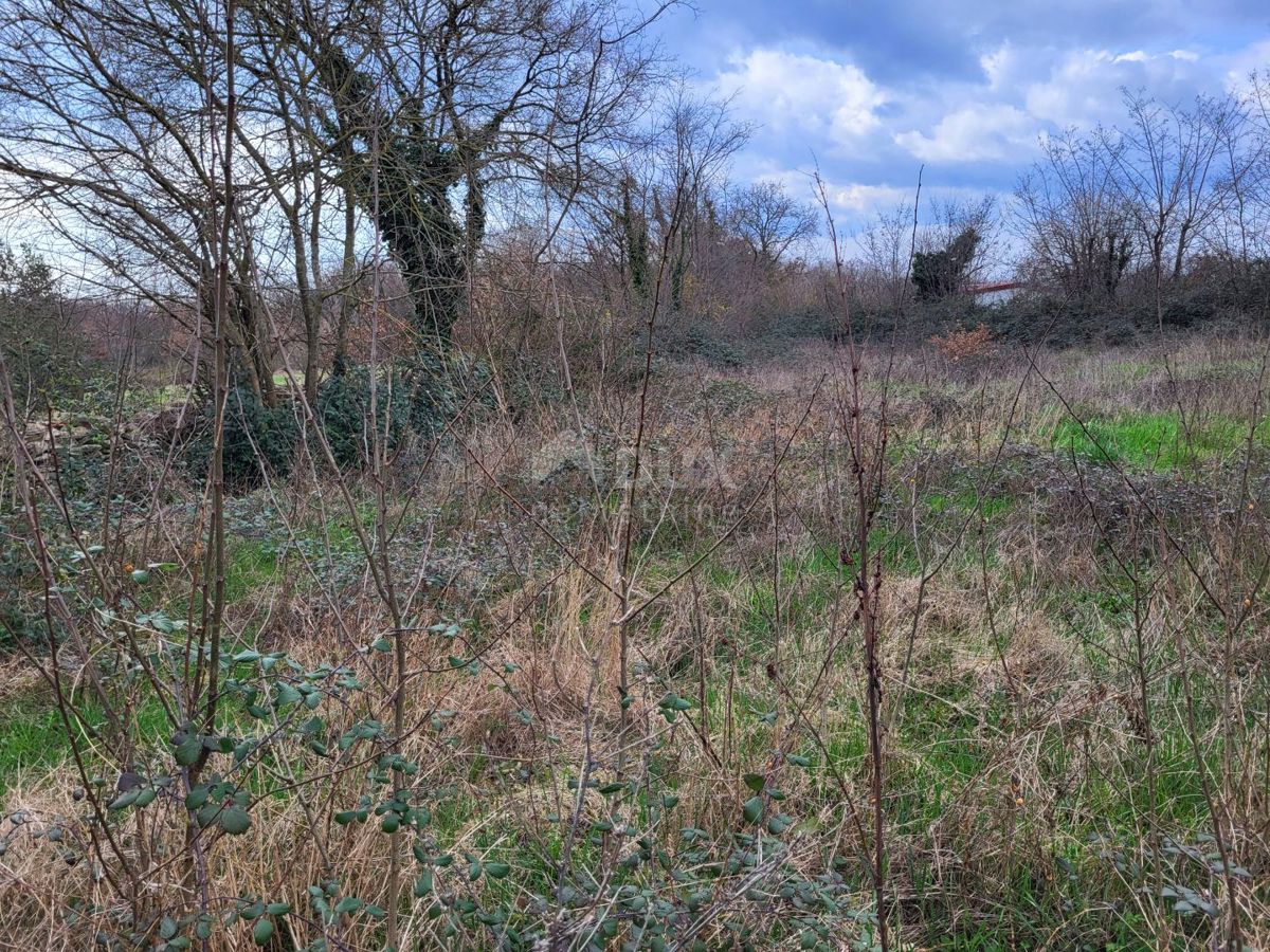 ISTRA, TINJAN - Zazidljivo zemljišče mešane rabe