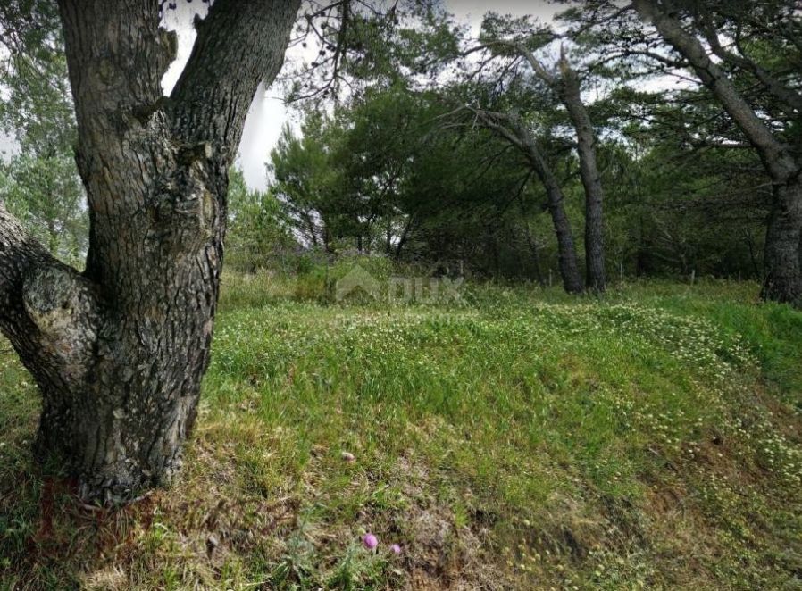 ZADAR, ZATON - Novo - zazidljivo zemljišče, prva vrsta do morja, 1530 m2